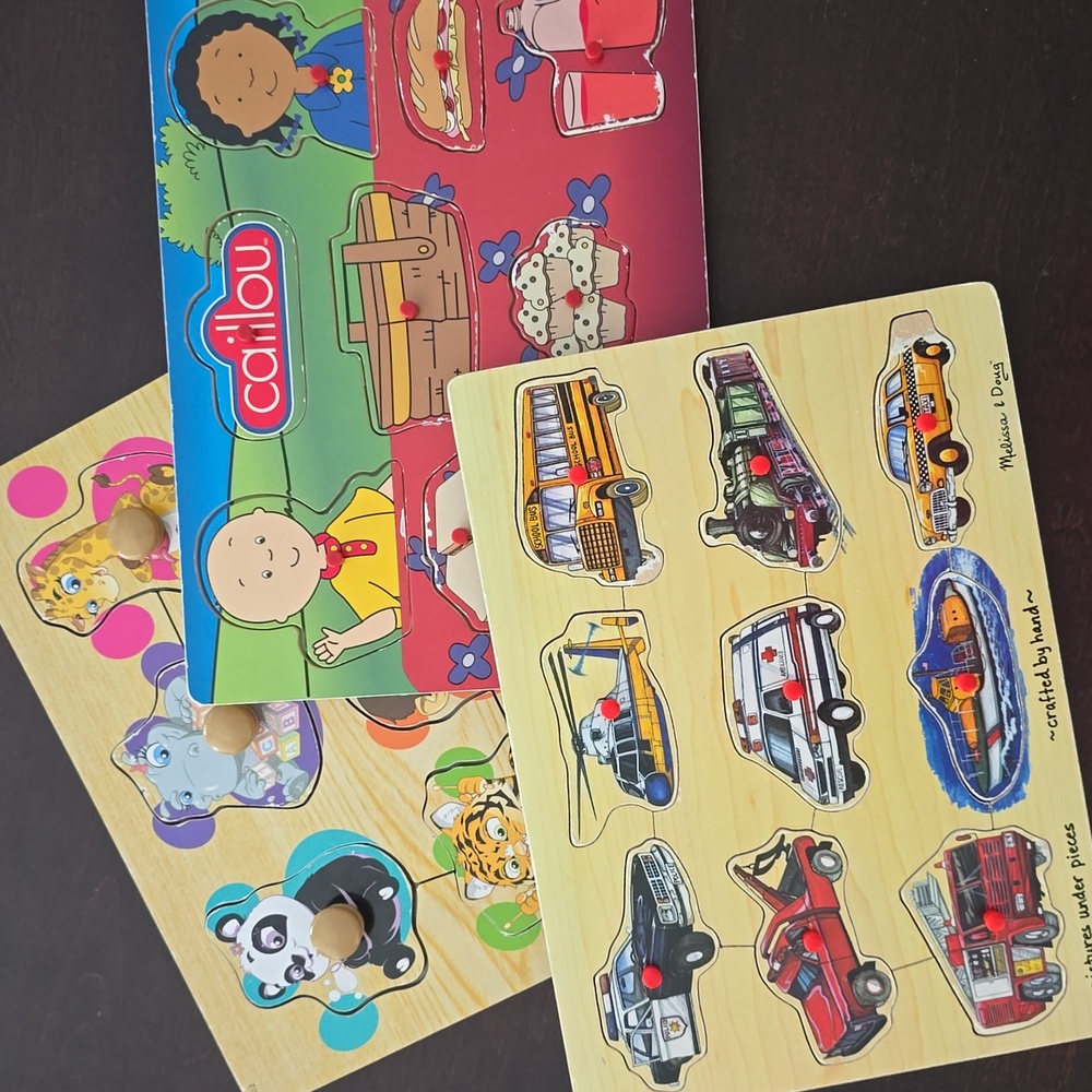 Bundle of 3 Wooden Puzzle Set for Kids